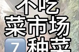 18新利 app